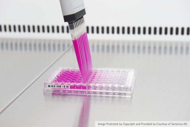 PCR with Picus Pipette